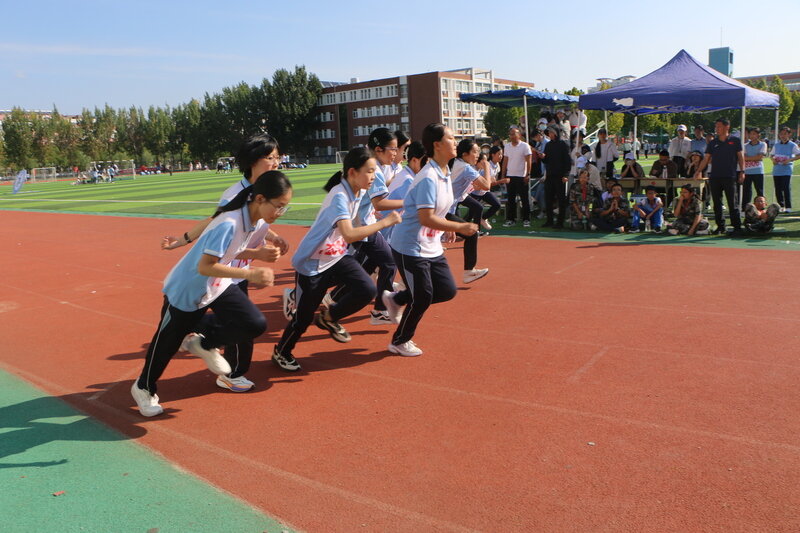 关于田径赛场选手动人心声：奋斗背后真情呐喊的信息