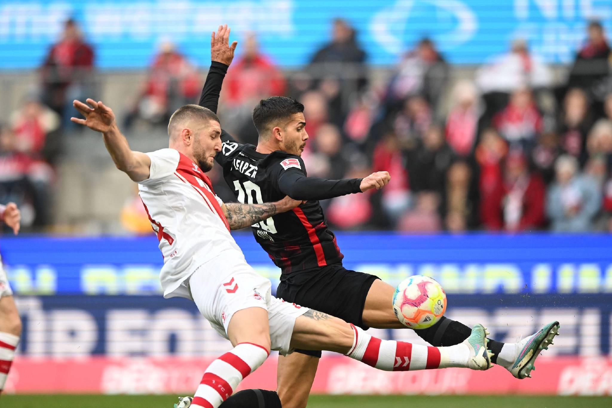 欧洲网球队碾压英国网球队，克耶高斯关键制胜的简单介绍