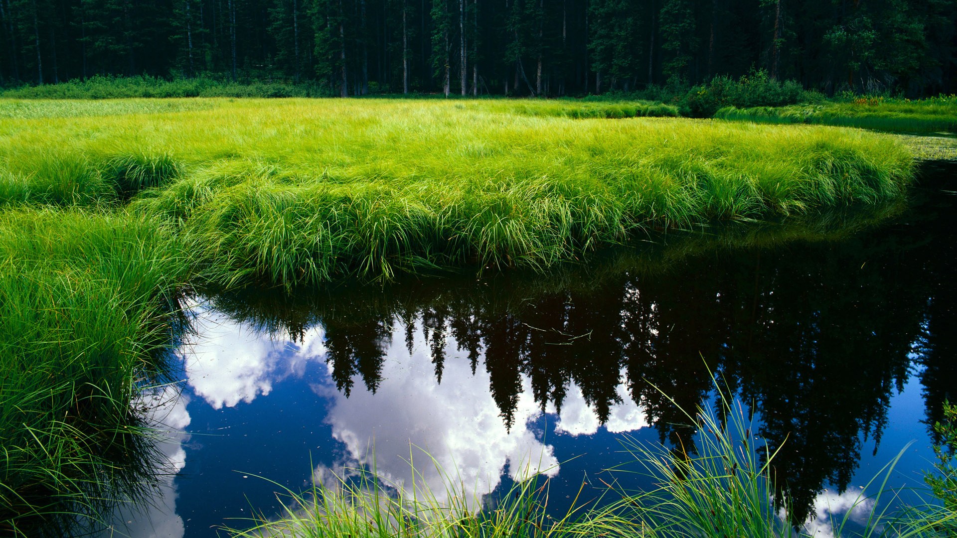 掘金一波流席卷勇士，保罗关键先生显神威