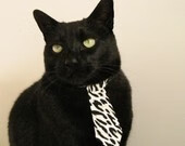 东方力量崛起，浙江队热身赛击溃火箭，锡安2026世界杯接管赛场的预演？