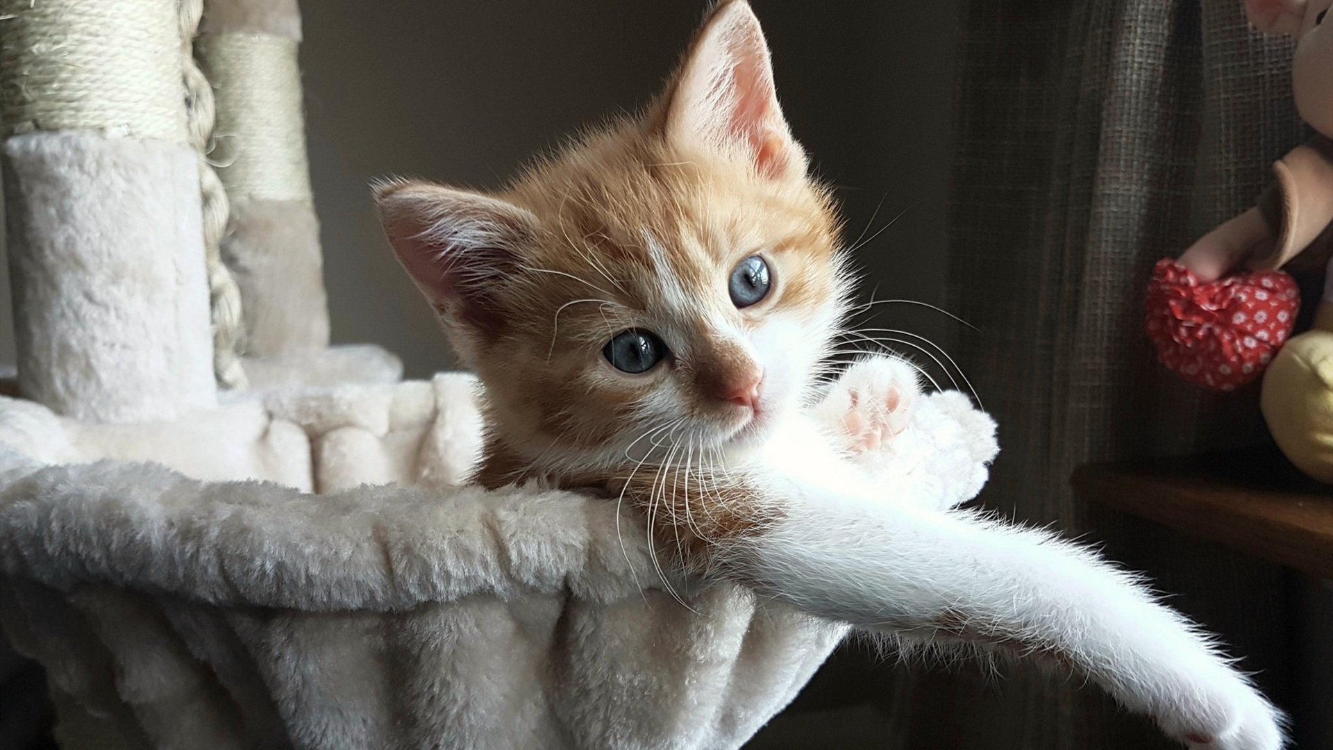 欧冠爆冷夜！瑞士豪门掀翻银河战舰，基米希两射一传定江山