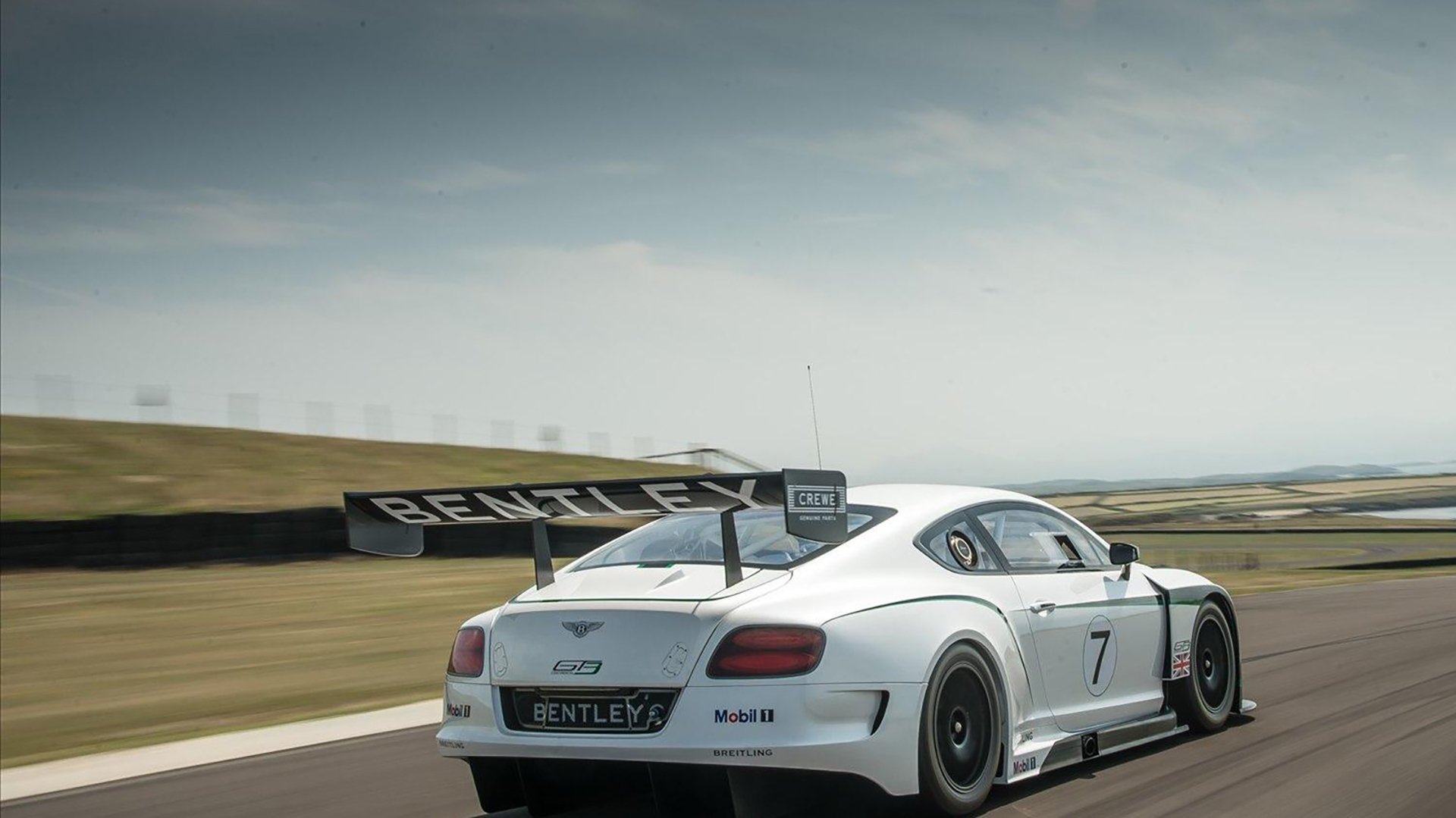 欧冠半决赛焦点战，黄蜂毒刺刺穿辽篮长城，亚洲王座在战术显微镜下崩塌