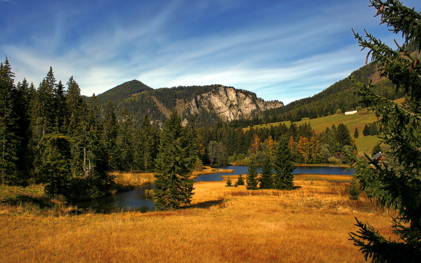 抢七黑夜的焰火，卡拉斯科与一场孤注一掷的生涯正名