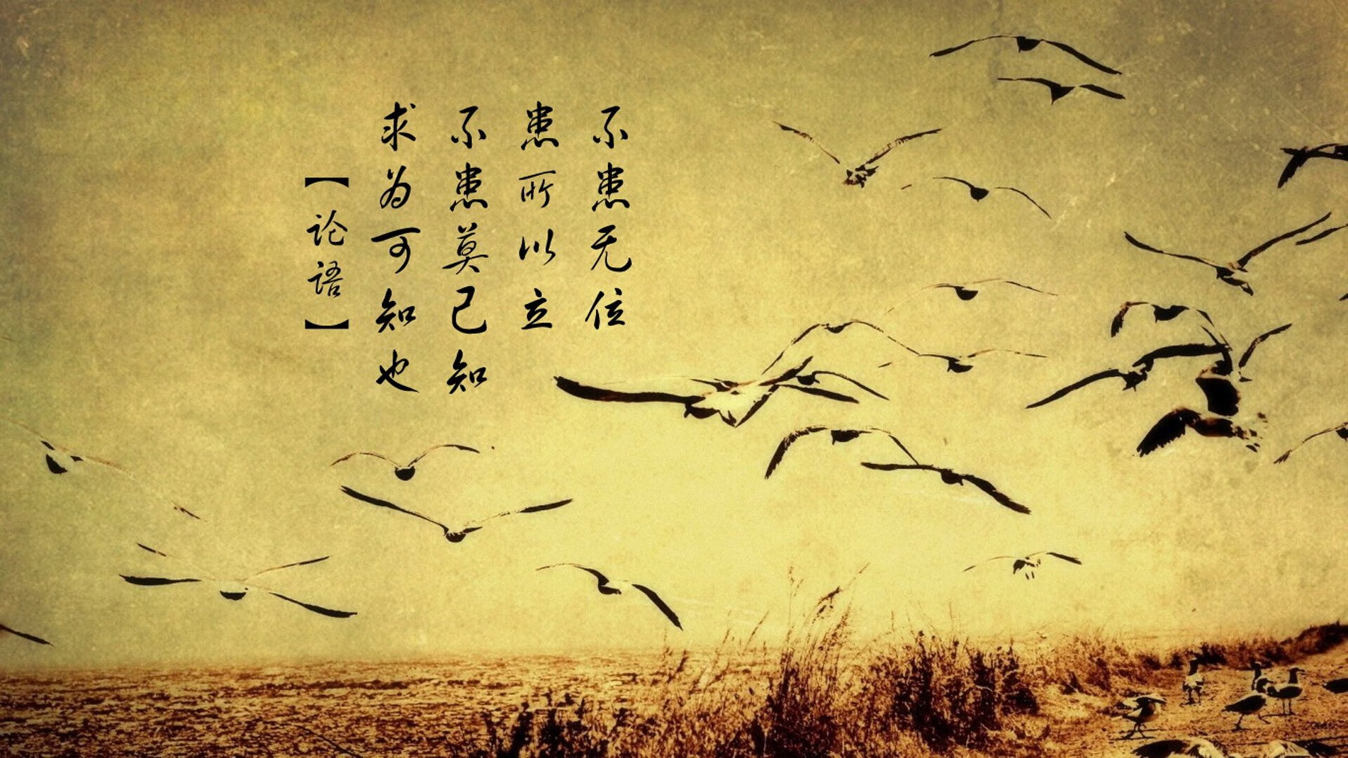 双城记，足球的永恒恩怨与篮球的极速胜利