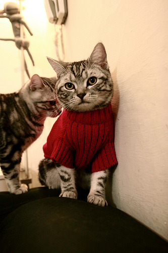 钢闸镇蓝网，利刃破长空—利拉德加冕关键先生