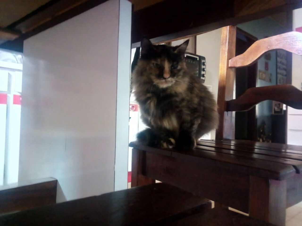 战术革新的胜利，从哥伦比亚踏平新西兰看金玟哉如何重新定义现代中卫