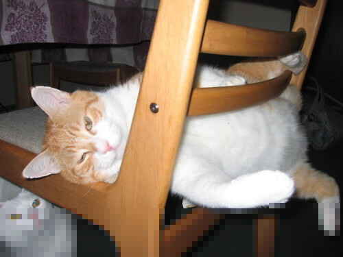 伊萨克的绿茵独舞，当北欧闪电撕裂荷兰的橙色风暴