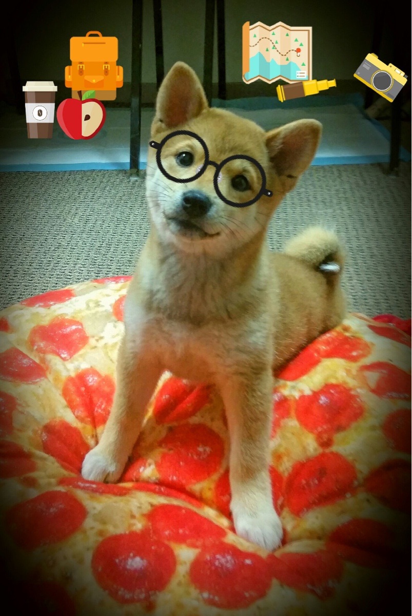 横扫与接管，比利时足球的团队凯歌与萨卡篮球的个人史诗