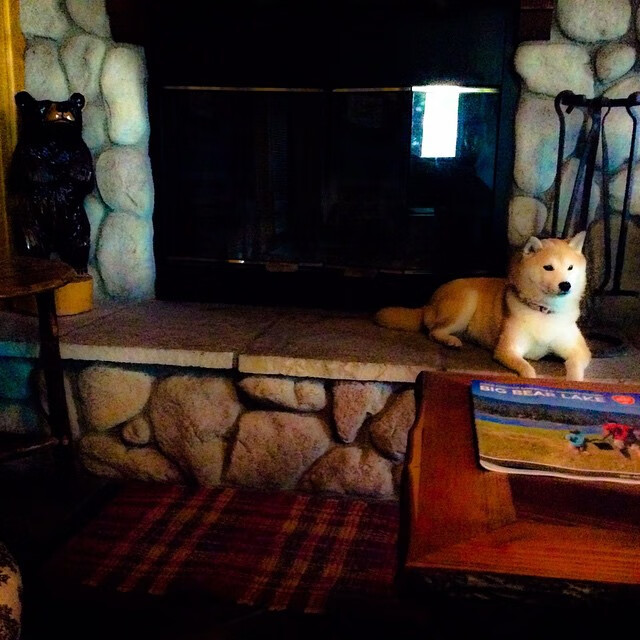 北欧风暴席卷都灵！拉什福德单骑接管比赛，曼联完胜尤文书写欧冠新章