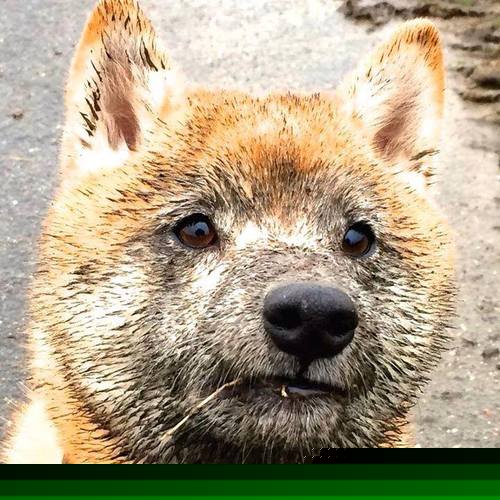 利拉德终成关键先生，湖人客场力克魔术