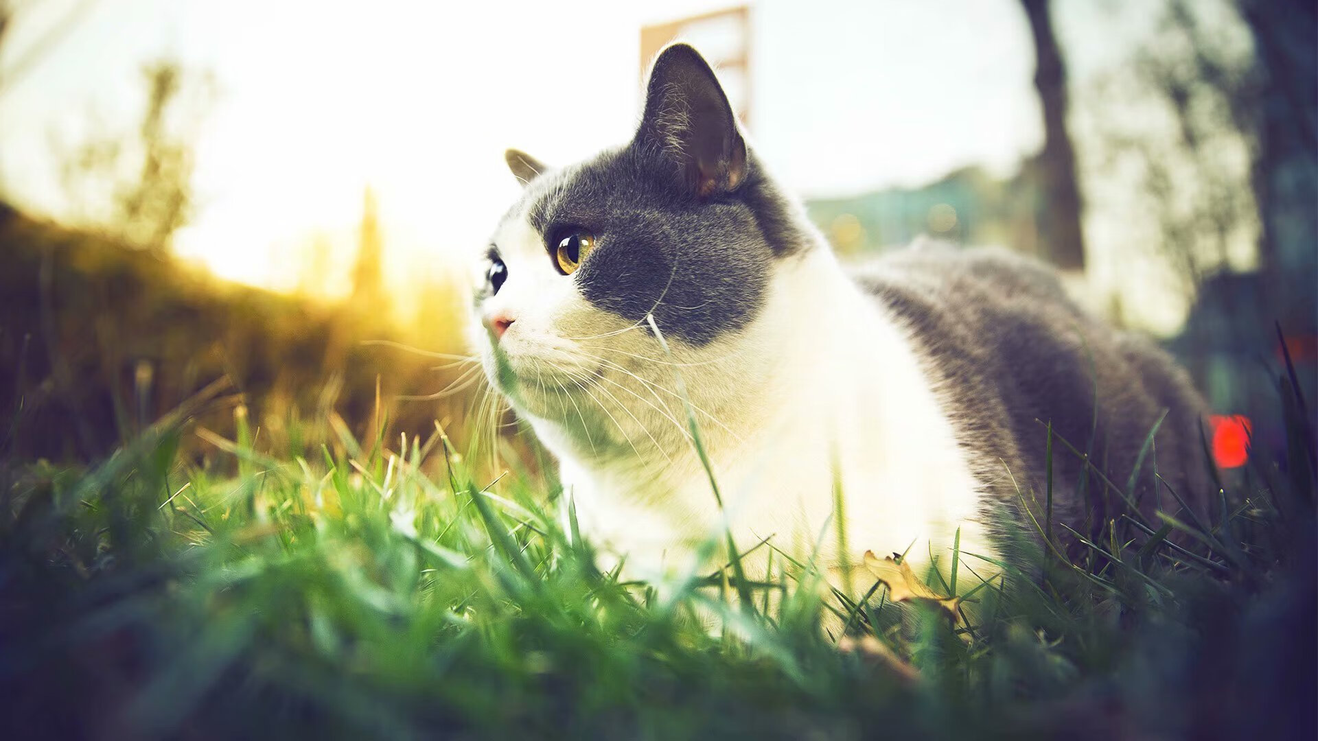 墨西哥轻取中国，斯通斯防守端锁死对手，诠释现代足球防守艺术