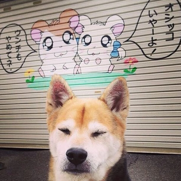 印加铁壁，当阿拉巴化身秘鲁的现代壁垒，哥伦比亚的矛尖为之崩折