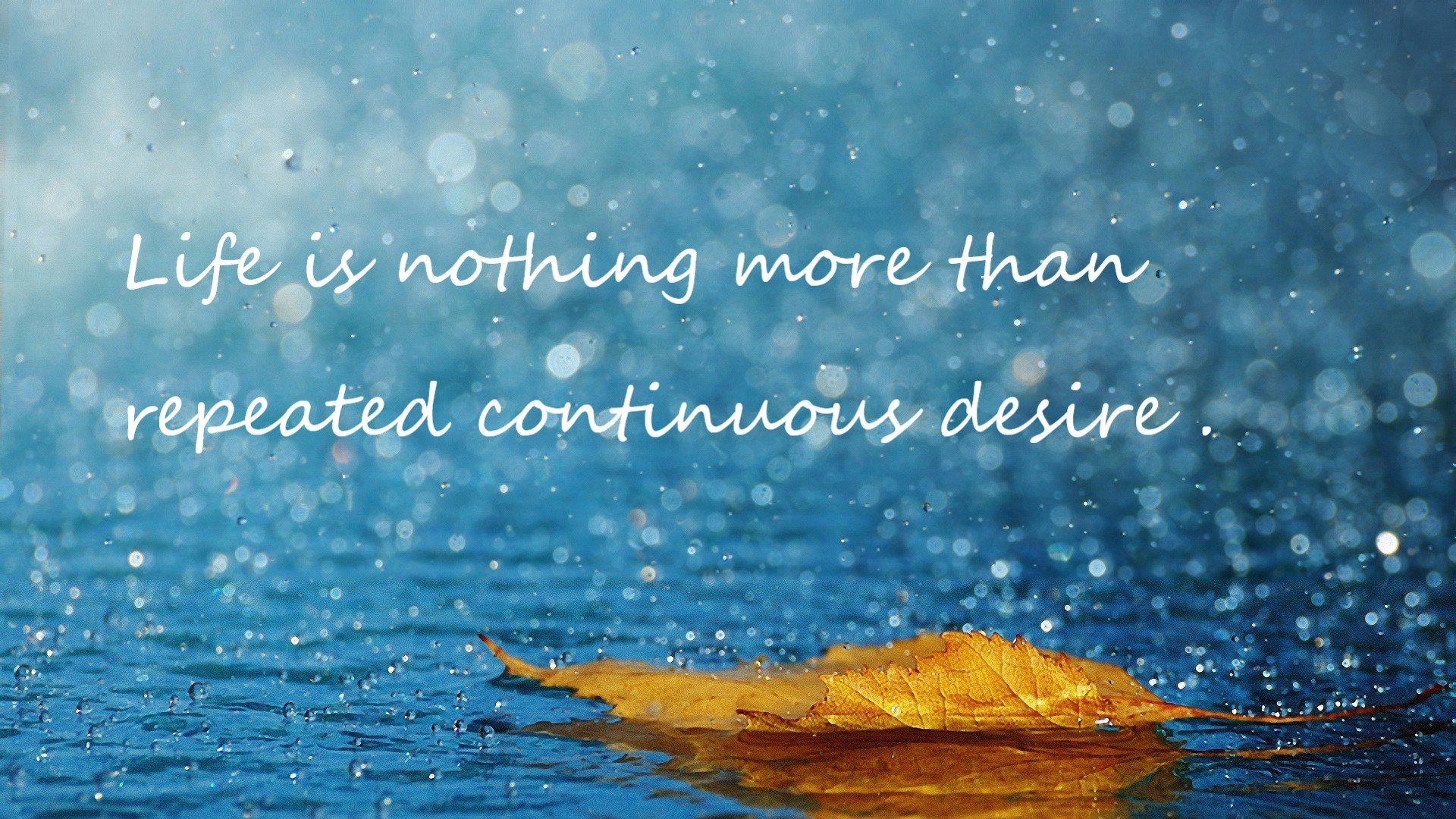 绿茵焦点，布鲁诺一舞定乾坤，葡萄牙力克新西兰背后的战术革命