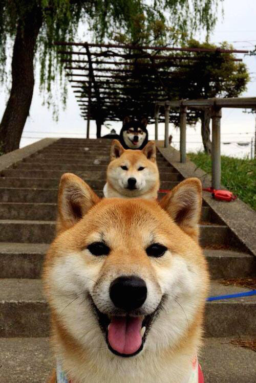 红日坠落，安哥拉在毕尔巴鄂的足球革命