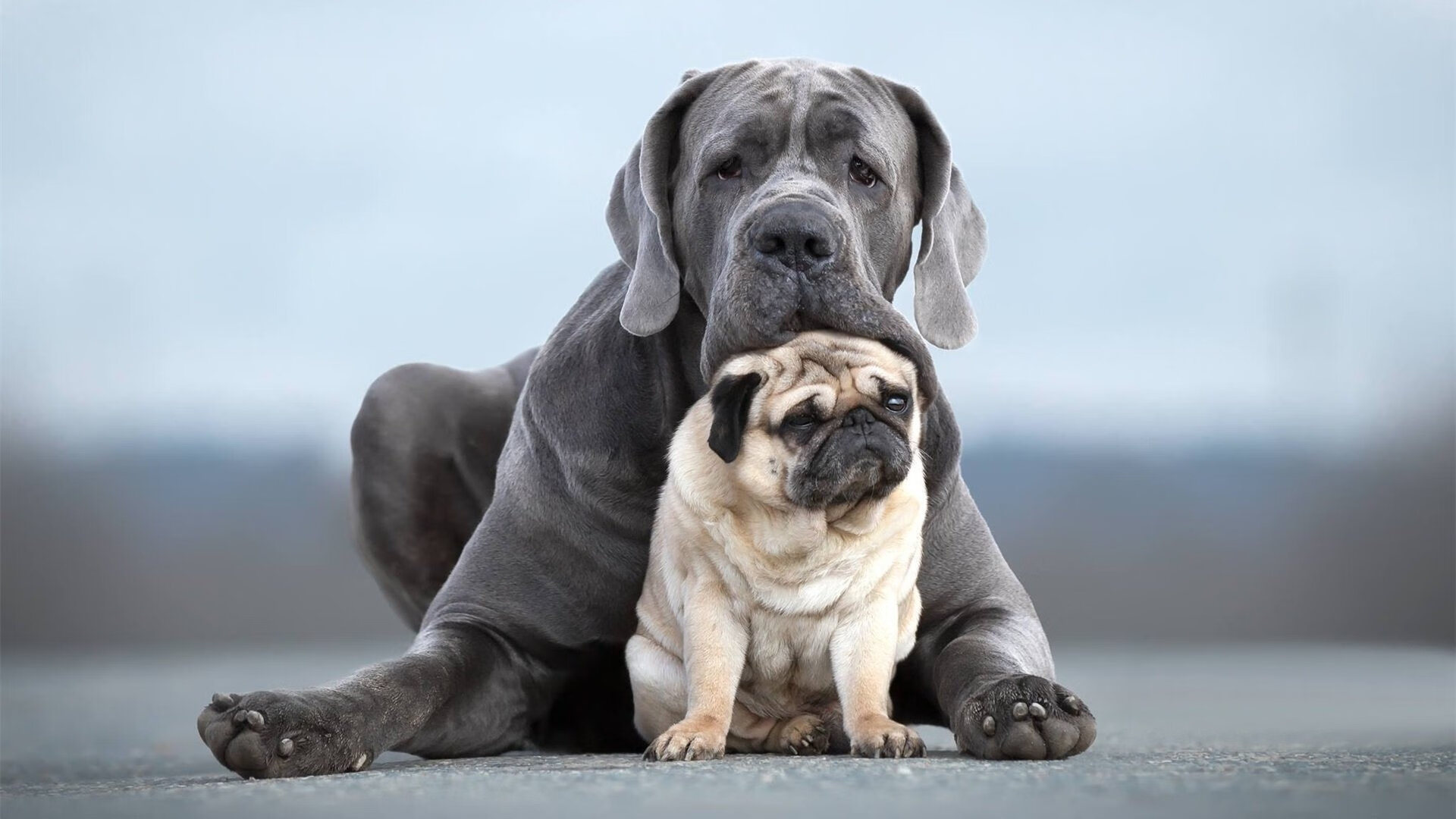 冰冷苏格兰的暖色对决，当阿圭罗在风暴眼中决定胜负