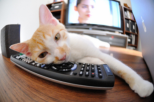 神扑与绝杀，库尔图瓦一夫当关，拉齐奥加时奏凯诠释足球昼夜