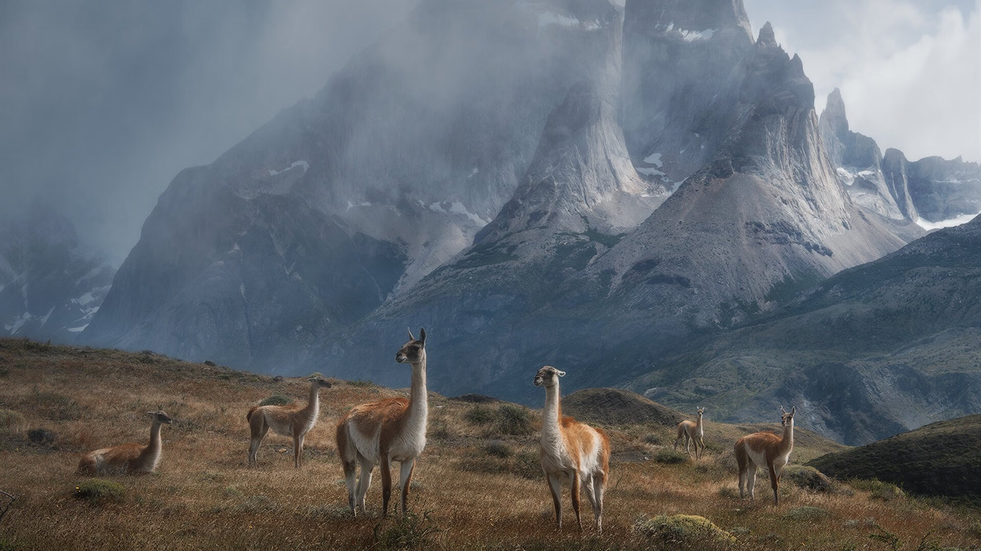 迪马利亚节奏大师引领洪都拉斯，稳稳拿下南非胜利