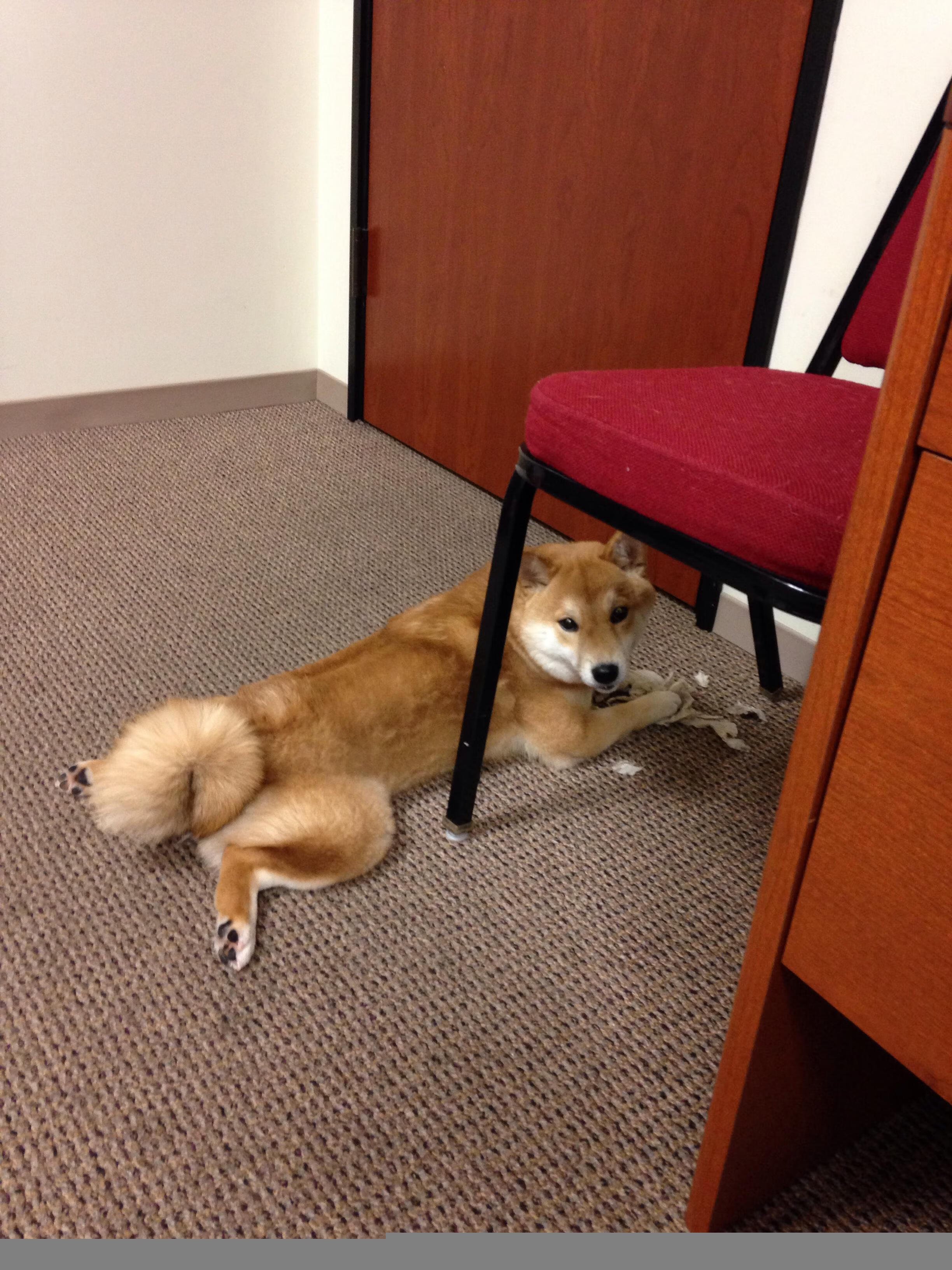 阿圭罗,迟暮传奇的统治级演出,皇家社会如何撼动葡萄牙铁壁