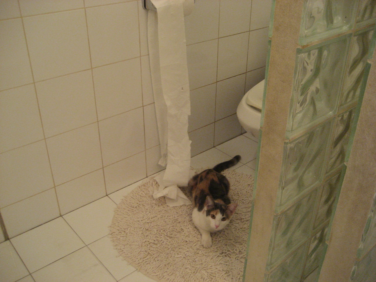 夜幕下的极速狂飙，佩德里在F1街道赛之夜数据全面爆炸